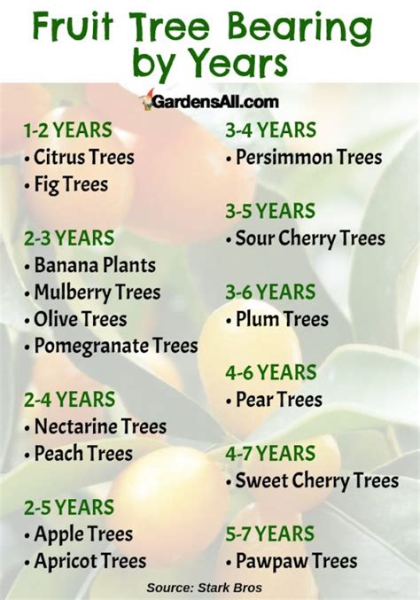 Bearing age most fruit trees are propagated by grafting or budding the selected variety onto a rootstock. Fruit Tree Bearing by Years | TheQuoteGeeks | Gardening