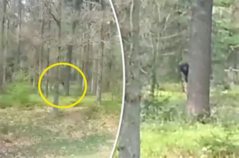 Bigfoot Sighting Terrifying Video Shows Monster Watching Youths From