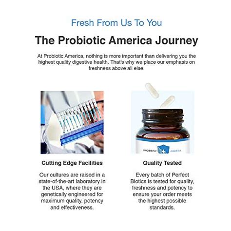 probiotic america® perfect biotics 30 billion cfus digestive and immune gourmetian