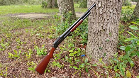 Obscure Object Of Desire Norinco Model Shotgun The Truth About Guns