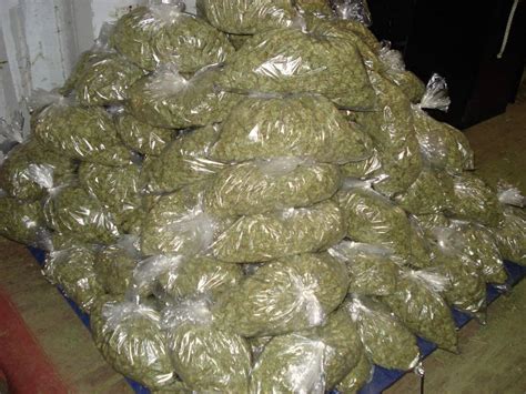 1 dollar = 4 quarters. 12,000 pounds of Marijuana worth $95 million dollars ...