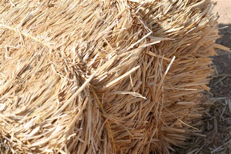 Hay Bale Free Stock Photo Public Domain Pictures