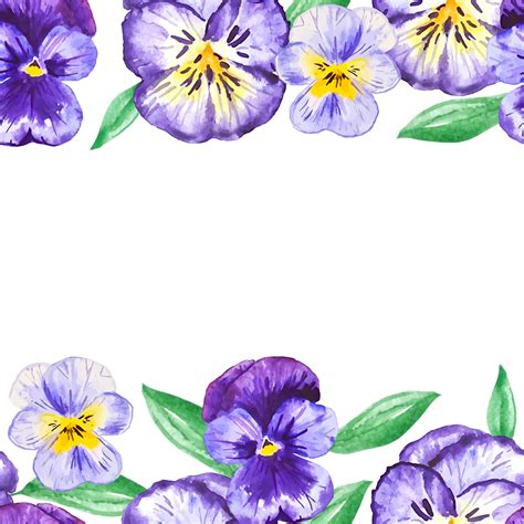 Pansy Flowers Seamless Frame For Decor Invitations Floral Nature