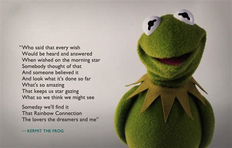 Kermit The Frog Funny Quotes Quotesgram