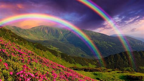 Wallpaper Sunlight Nature Sky Field Rainbows Atmosphere Flower Grassland Rainbow