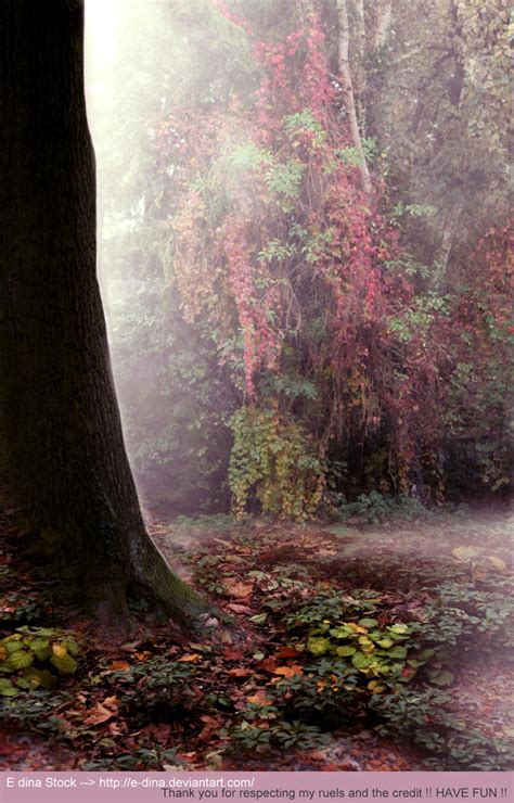 Premade Bg Enchanted Forest 2 By E Dinaphotoart On Deviantart