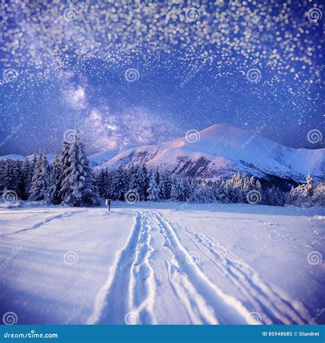 Starry Sky In Winter Snowy Night Stock Image Image Of Abstract