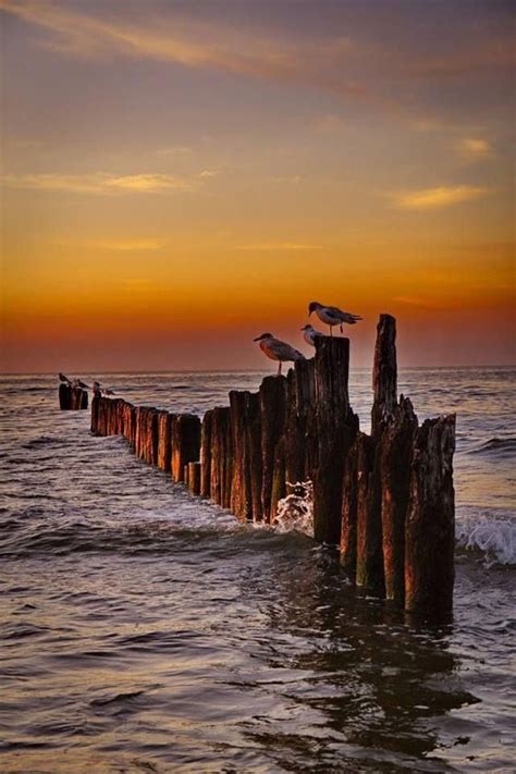 Pin By Do Photo On Photography Scenery Nature Beautiful Sunset