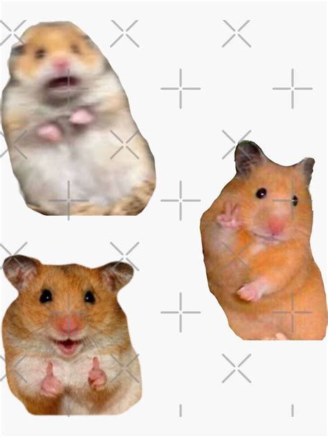 Hamster Meme Sticker Pack Peace Sign And Screaming Hamster Sticker