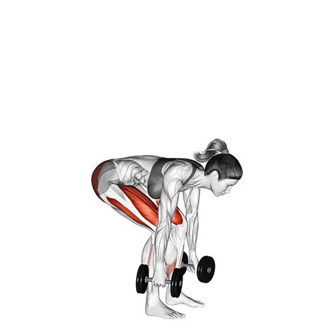 Dumbbell Deadlifts How To Do Properly And Muscles Worked