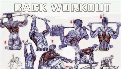The Best Back Exercises For Mass﻿ Fitness Workouts And Exercises