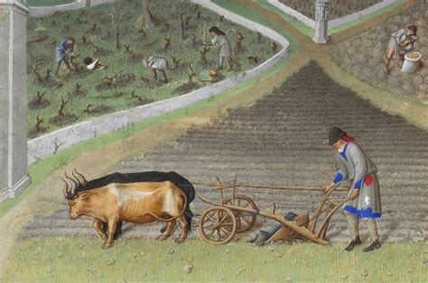 History Of Agriculture Early Middle Ages Medieval