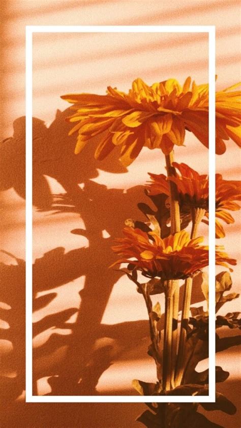 Sunflowers Shadow On The Wall Aesthetic Phone Background