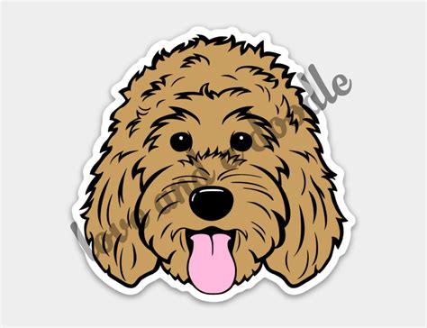 How To Draw Goldendoodle Step By Step Guide Drawing All