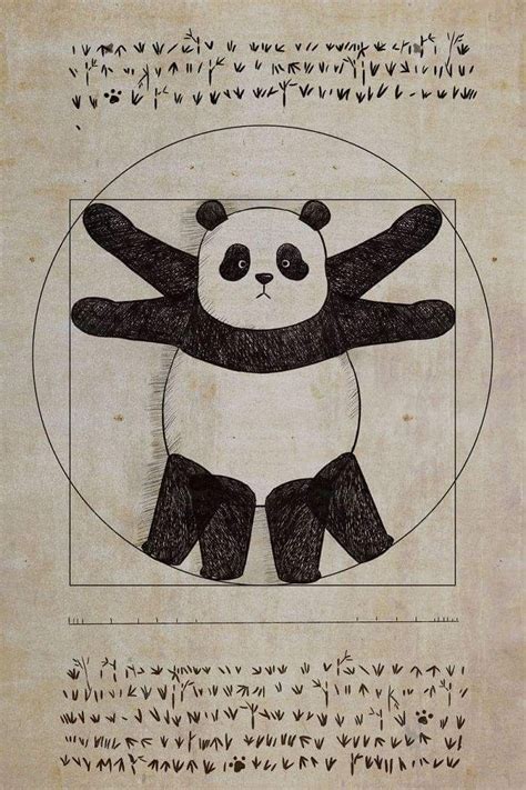 Pin By Qian On Feed My Soul Panda Art Panda