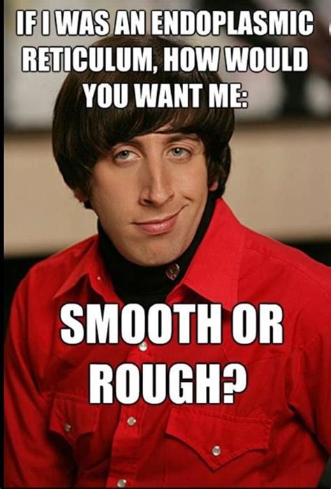 You and i have such great chemistry together, let's try to do some biology together too. Endoplasmic reticulum | Funny christian memes, Biology ...