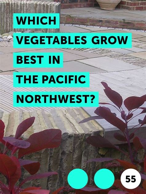 Which Vegetables Grow Best In The Pacific Northwest The Weather In