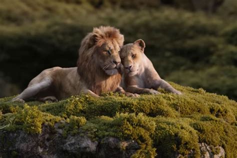 In A Scene From The Lion King 2019 Simba And Nala Sing Can You Feel The Love Tonight Even