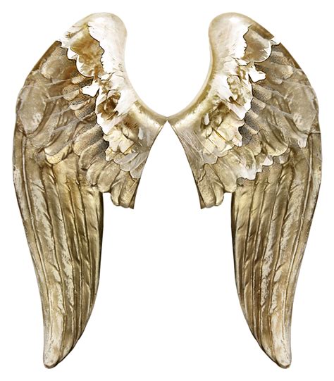 Angels Wing Butterfly Angel Wings Png Download 700799 Free