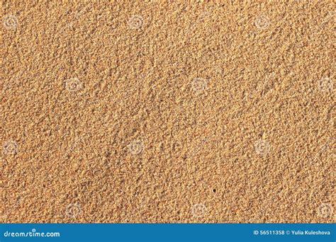 Sandy Background Stock Photo Image Of Golden Clear 56511358