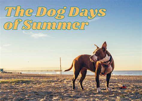 What Does The Idiom Dog Days Of Summer Mean