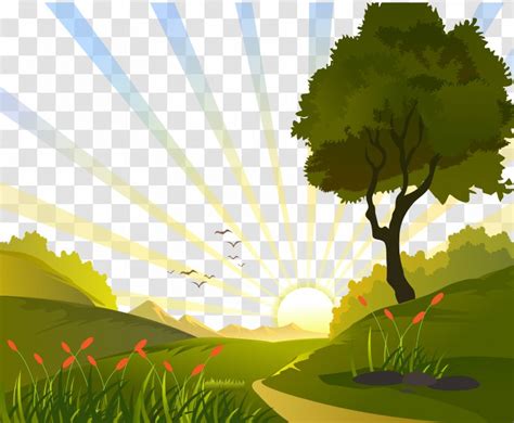 Euclidean Vector Clip Art Meadow Sunrise In The Field Illustration