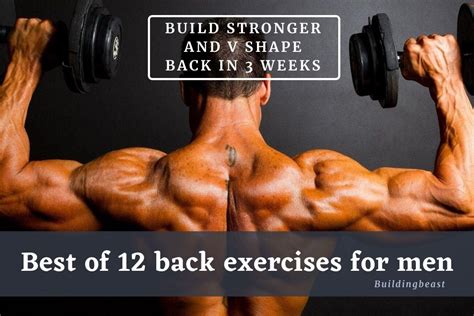 Best Of 12 Back Exercises For Men For Bigger Back Buildingbeast