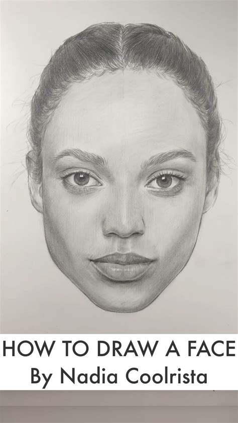 How To Draw The Proportions Of Face Intelligencesuppl