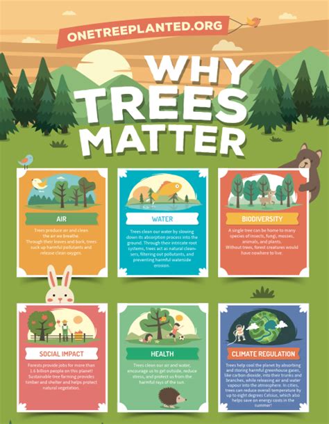 Why Plant Trees One Tree Planted Infographic Design Layout