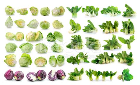 Bok Choy Chinese Cabbage Cabbage Isolated On White