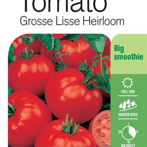 Seed Tomato Grosse Lisse Lushingtons