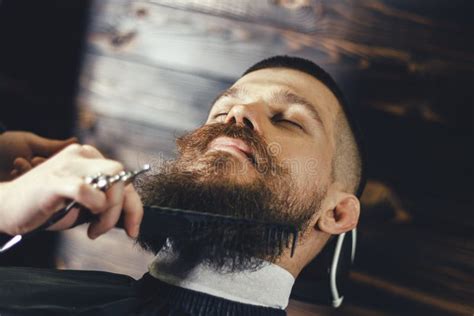bearded man in barbershop stock image image of customer 84484703