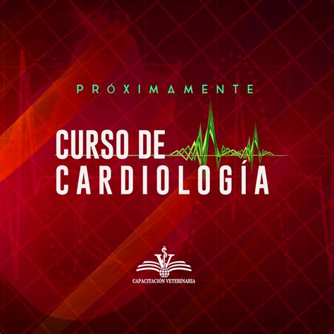 Curso De Cardiología Básica Gratuita Capacitación Veterinaria