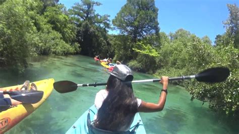 Epic Florida Paradise Kayaking With Manatees Weeki Wachee Springs Fl