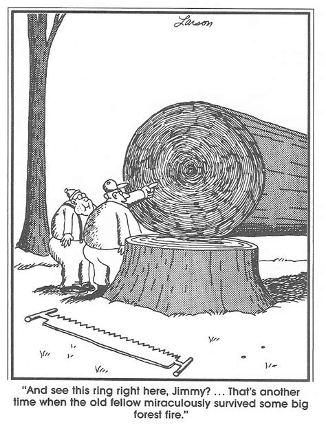 How Ironic The Forests Greatest Threat Is Man Far Side Cartoons Far