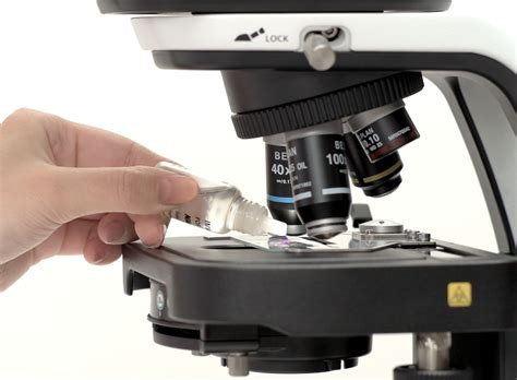 Oil Immersion Operation｜eclipse Ei｜online Guide｜nikon Corporation