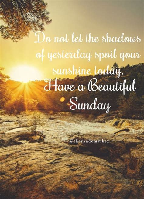 Do Not Let The Shadows Of Yesterday Spoil Your Sunshine Today Have A