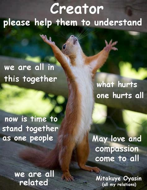 These messages for old friends are great for former classmates you know you're getting up in age when you have to put on glasses to read your birthday greetings. We are all in this together! | Happy squirrel, Funny ...