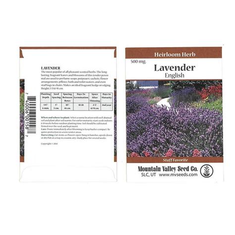 Common English Lavender Flower Garden Seeds 500 Mg Packet Perennial