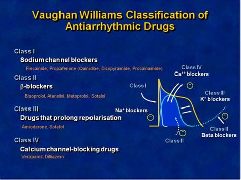 Vaughan Williams Classification Of Antiarrhythmic Drugs 004705