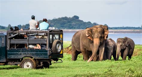 Book Top 50 Sri Lanka Tour Packages