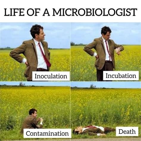 Microbiology World Crazyformicrobiology Fotos E Vídeos Do