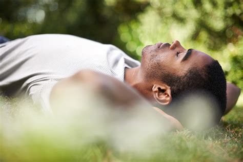 Catching A Nap Outdoors Stock Photo Download Image Now Istock