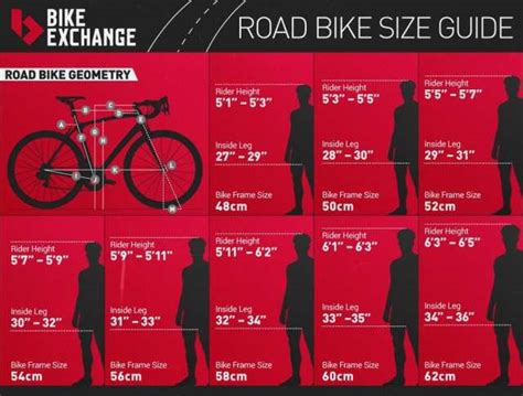 How To Measure Chain Size Bike Bike Size Chart Infographic Get The