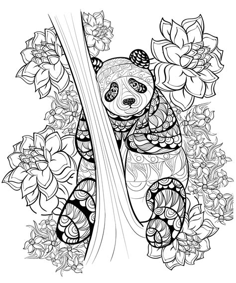 These foods will not enable them to hibernate because there is not enough energy to sleep without eating even for months or even days. Panda Coloring Pages Printable at GetDrawings | Free download
