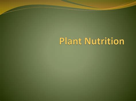 Ppt Plant Nutrition Powerpoint Presentation Free Download Id