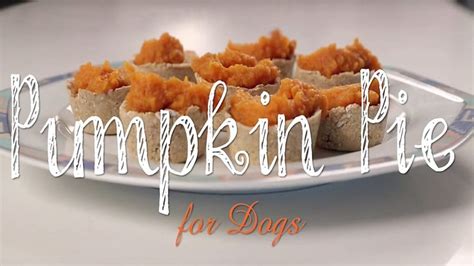 Recipe Homemade Pumpkin Pie Dog Treats Bechewy