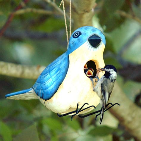 Eastern Bluebird Birdhouse Handcrafted Eco Friendly Albesia Wood Bird