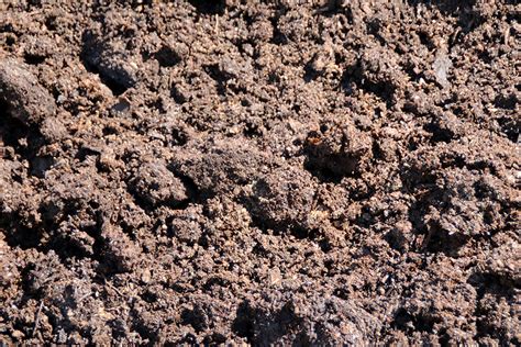 Biodegradable mulches are made out of plant starches and sugars or polyester fibers. Compost | Organic Compost | Garden Compost | Madison WI