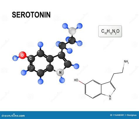 Fórmula Química E Modelo Estruturais Da Molécula Da Serotonina Ilustração Do Vetor Ilustração